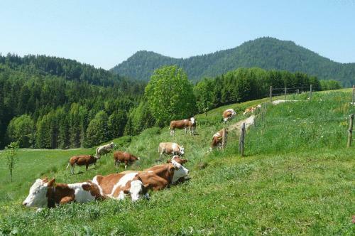 Hostal Gasthof Jachenau