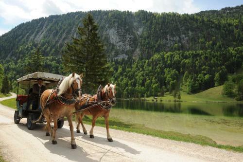Apartamentos Ferienhaus Am R�merweg