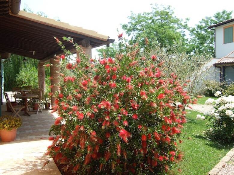 Agroturismo Agriturismo Quarto Podere