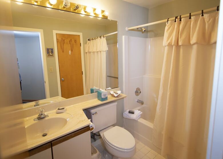 Hotel Mountain Lodge At Okemo