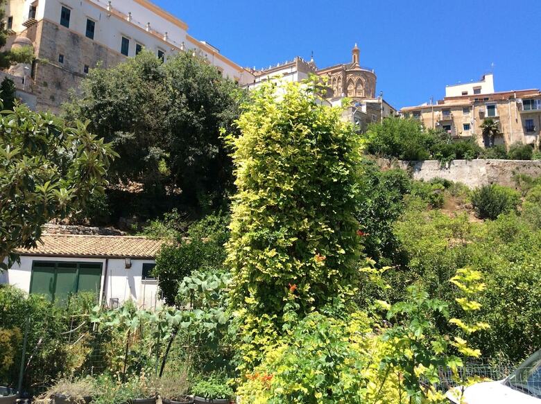 Bed & Breakfast Antico Limoneto Conca D'oro