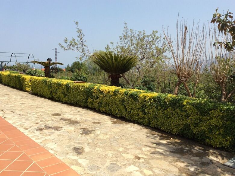 Bed & Breakfast Antico Limoneto Conca D'oro