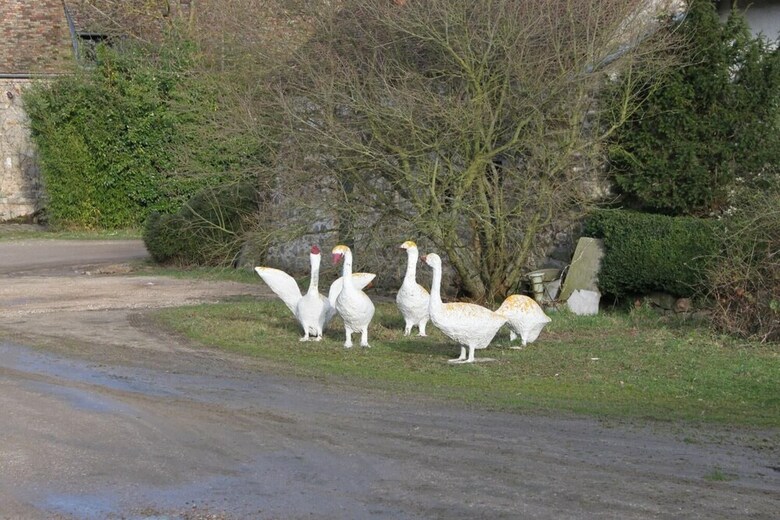 Bed & Breakfast A La Ferme de La Joie