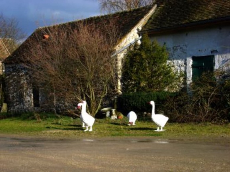 Bed & Breakfast A La Ferme de La Joie