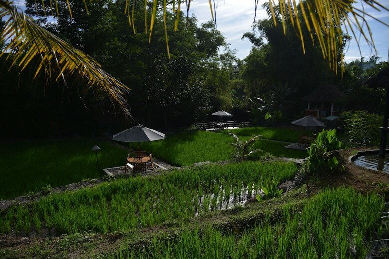 Padi Heritage Hotel