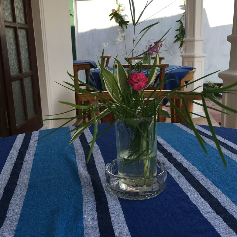 Hotel The Saffron Airport Villa