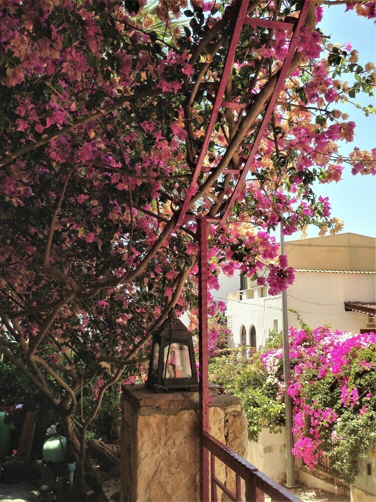 Pension Smyrna Pansiyon