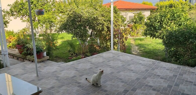 Apartamentos Holiday Garden House