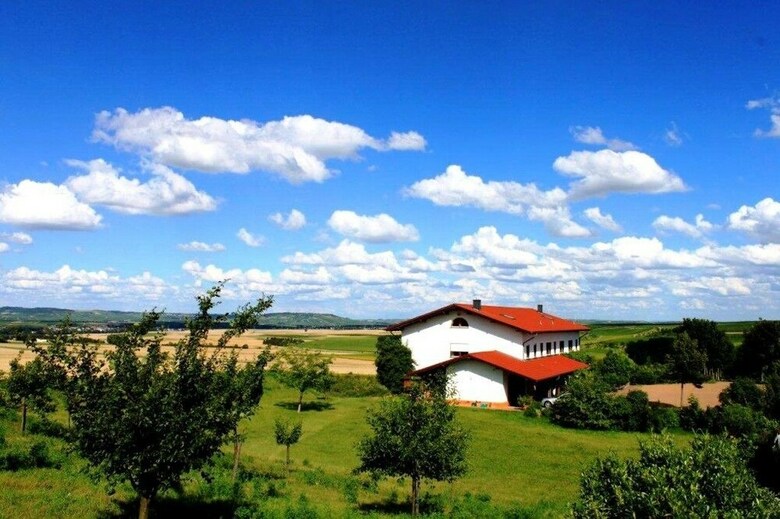 Bioweingut & Landhotel G�nz