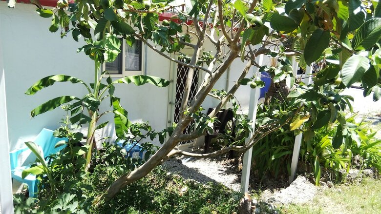 Hotel Cottage Blue Kabira