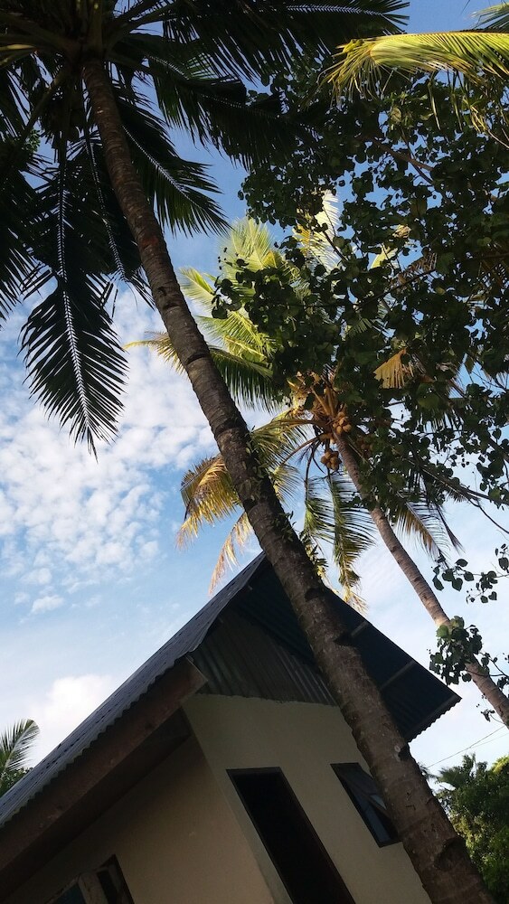 Bed & Breakfast Holiday Bir