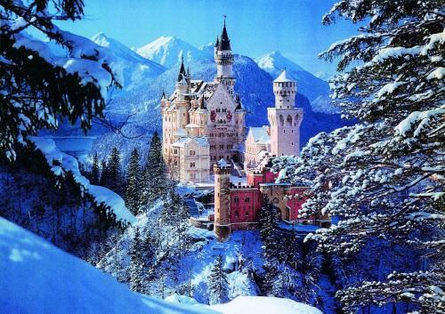 Agroturismo Haflingerhof