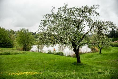 Golf- Und Landhotel Anetseder
