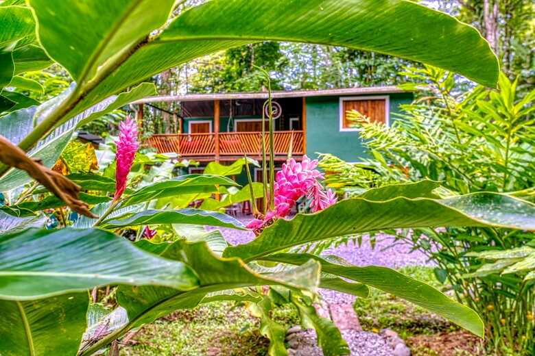 Hotel The Green Jungle House