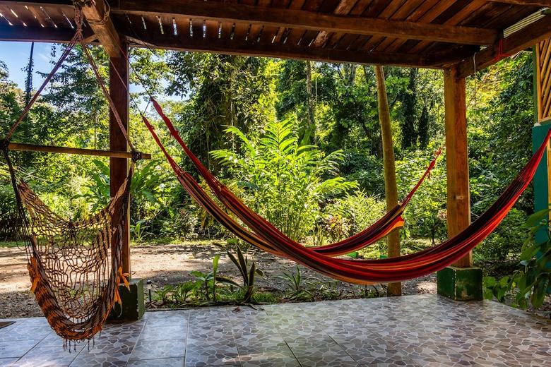 Hotel The Green Jungle House
