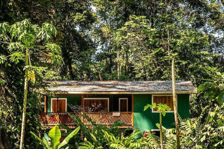 Hotel The Green Jungle House