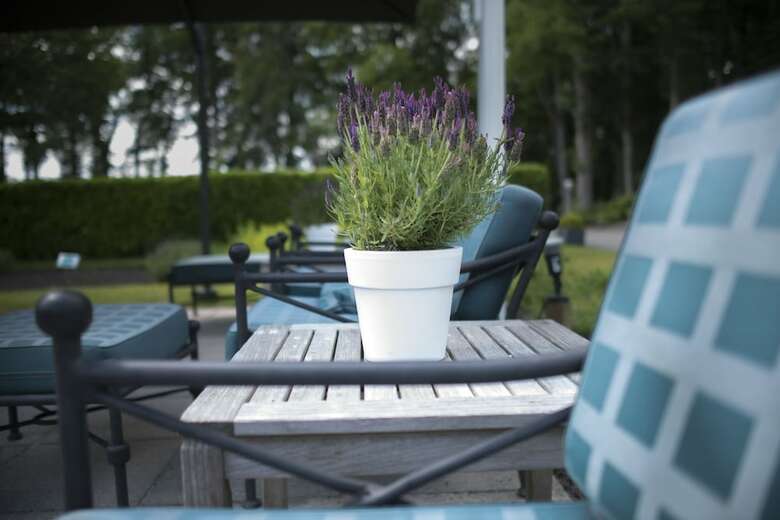 Hotel Landgoed Lauswolt