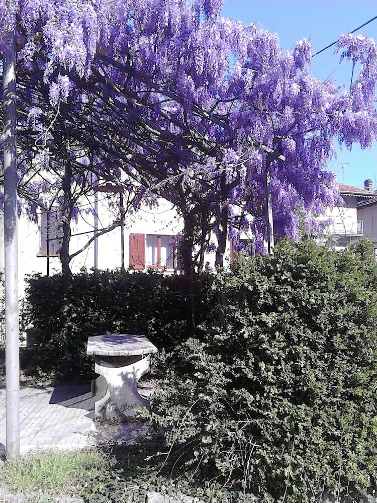 Hotel La Seca - Antico Albergo Alzese