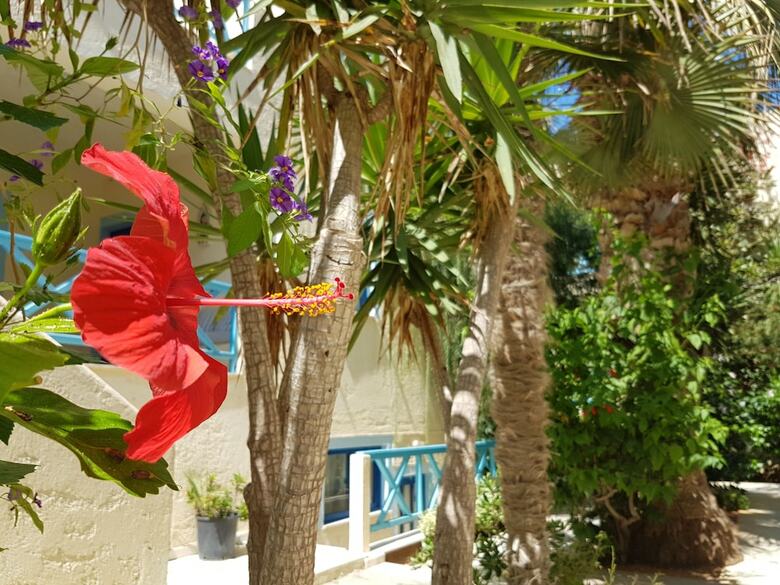 Galazio Suites & Apartments