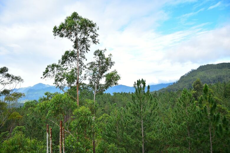 Bed & Breakfast Ella Aura Breeze