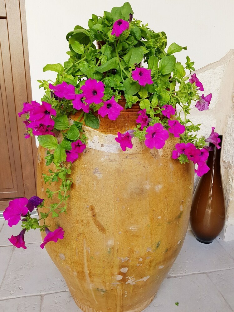 Bed & Breakfast Salento Ada's House