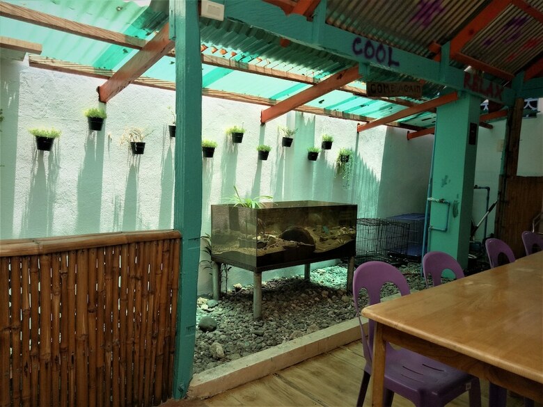 Hotel Smallfry's Beach Resort