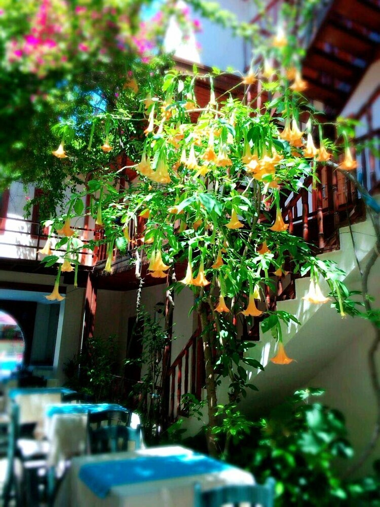 Hotel Dalyan Konak Su Otel
