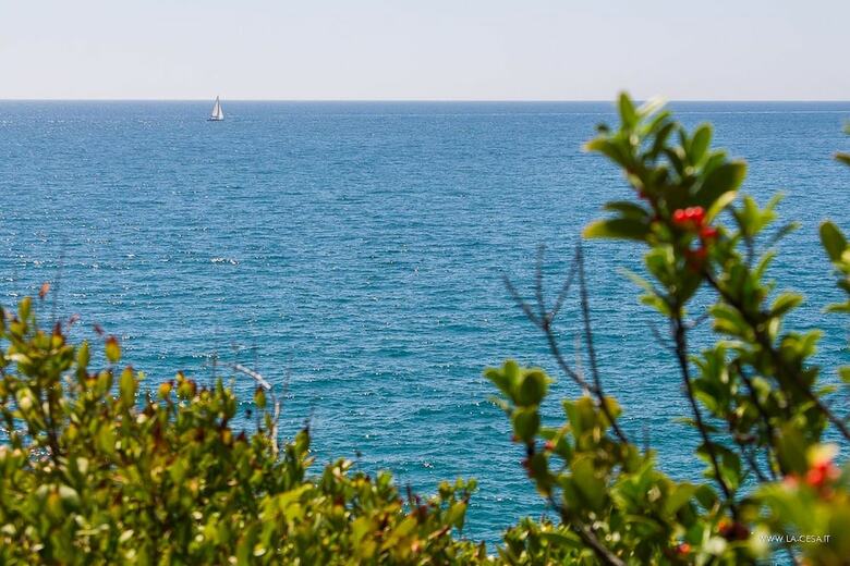Apartamento La Cesa Case Vacanza