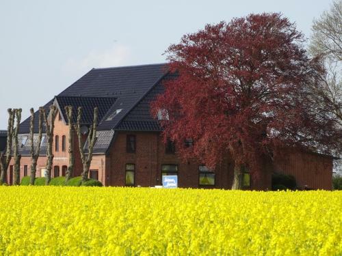 Hostal G�stezimmer & Appartement Elskop