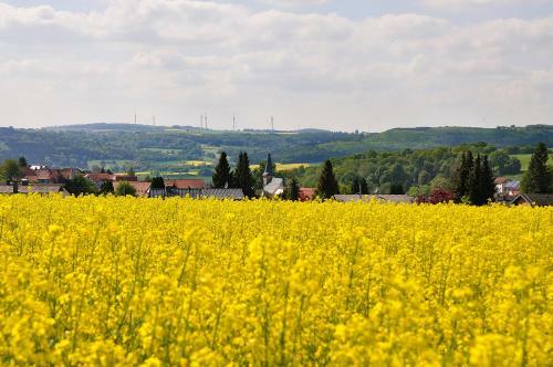 Hotel Zum B�cker