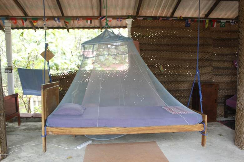 Hostal Jungle Vista