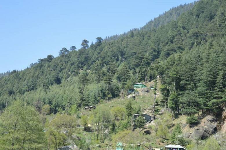 Hotel Rigzin Nest Cottage Manali