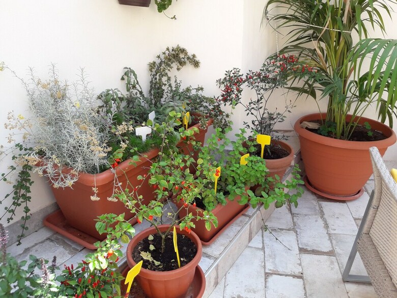 Casa Dell'aromatario B&B