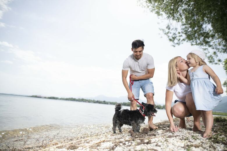 R�gener Ferienh�user Am Hochufer