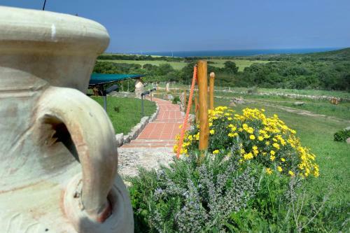 Agroturismo Country House Vignola Mare