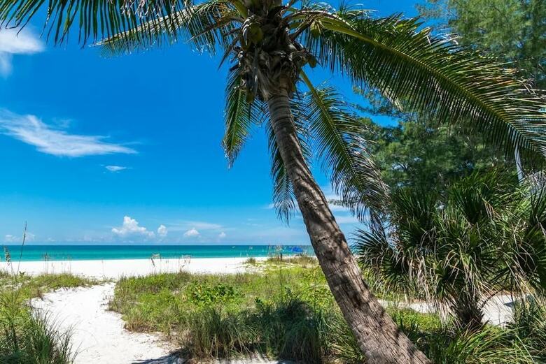 Tiki