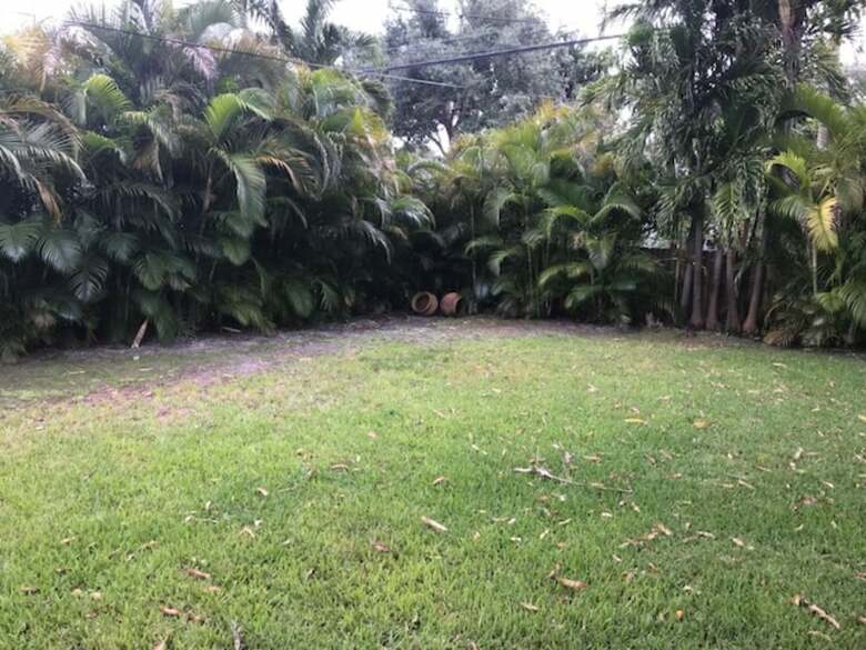 Marvelous Miami Shores