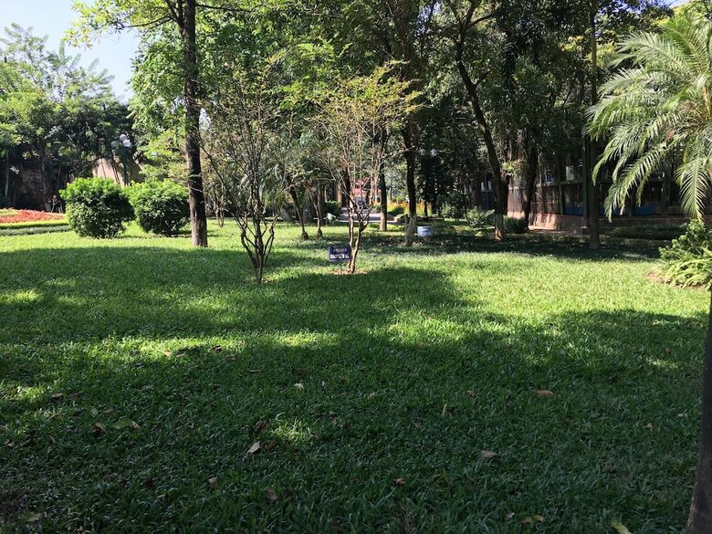 Apartamentos Lily Hometel