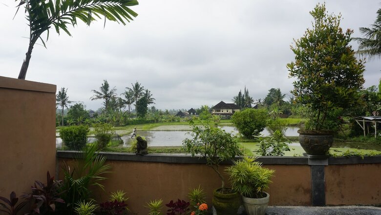 Bed & Breakfast Sari Bamboo Bungalows