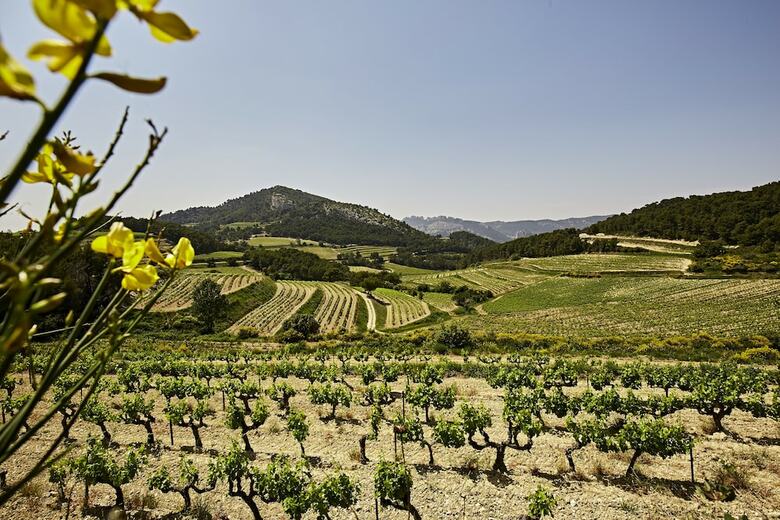 Bed & Breakfast Mas De La Baume