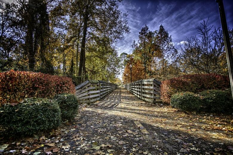 Hotel Wingate By Wyndham Tuscaloosa