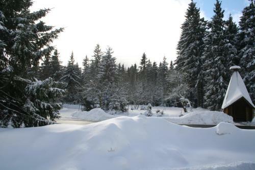 Hostal Hotel Gr�ne Tanne Mandelholz