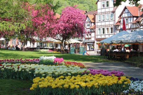 Hostal Haus Alice