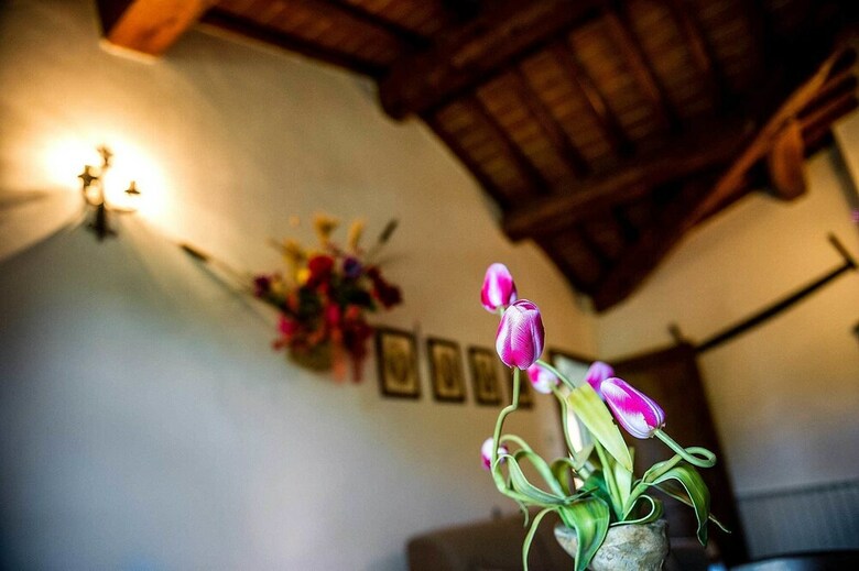 Agroturismo Agriturismo Palazzo Conti A