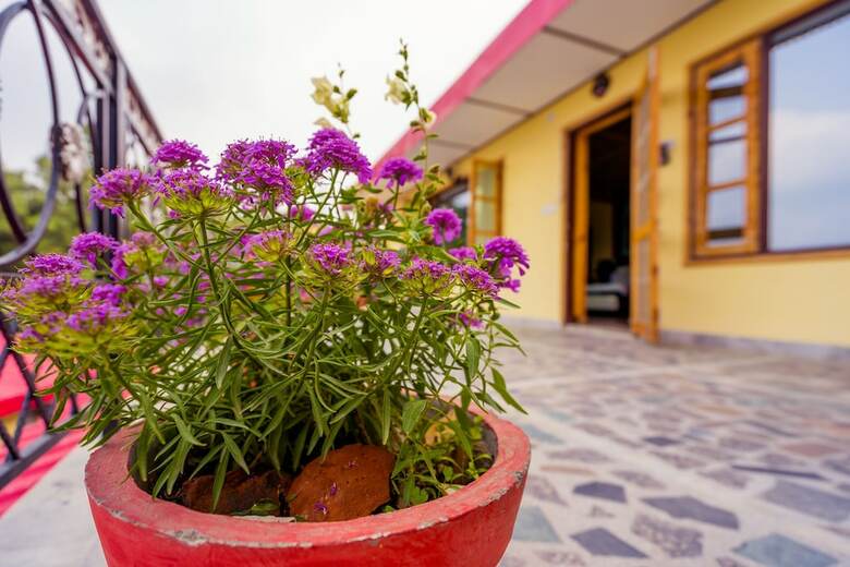Apartamentos Oyo 13294 Home Heritage 1bhk Clock Tower Mussoorie
