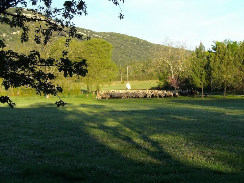 Logis Des Magnans - G�te Confort
