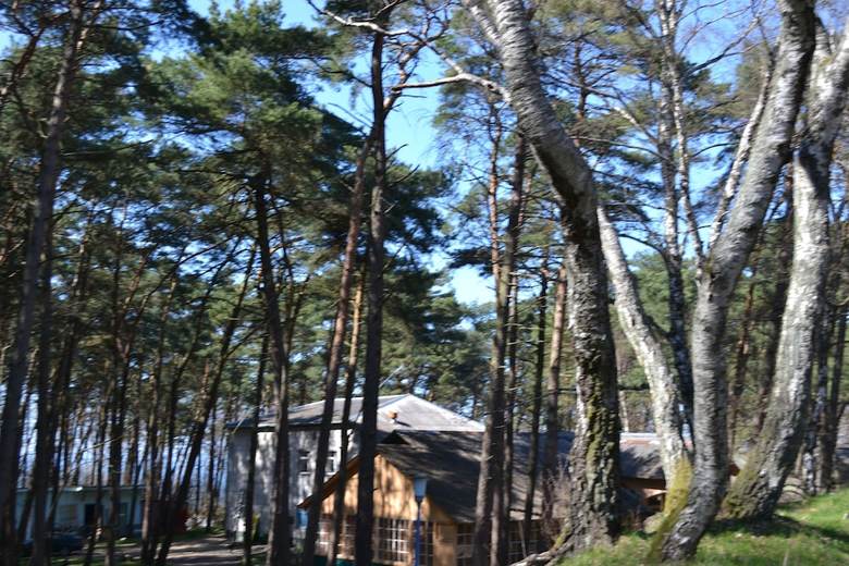 Hostal Sosnovaia Poliana Hostel