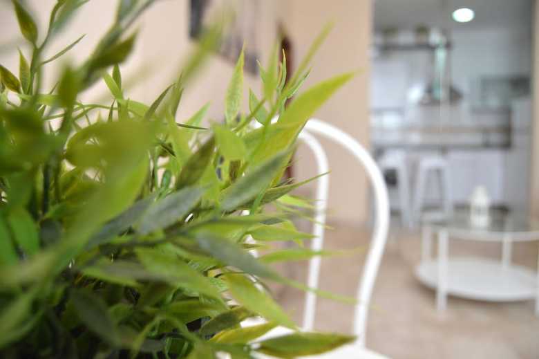 Apartamento La Caleta
