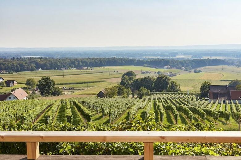 Posada Weinberg Lodge - Kellerst�ckl