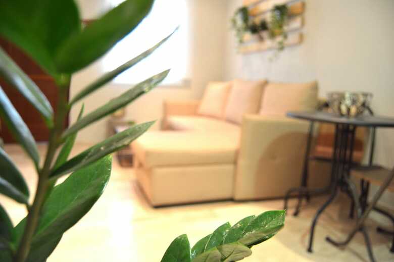 Apartamento La Vi�a